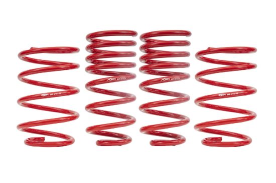 Picture of BMR Suspension Suspension Struts / Shock Absorbers / Coil Springs / Camber Plate Kit - SP300R
