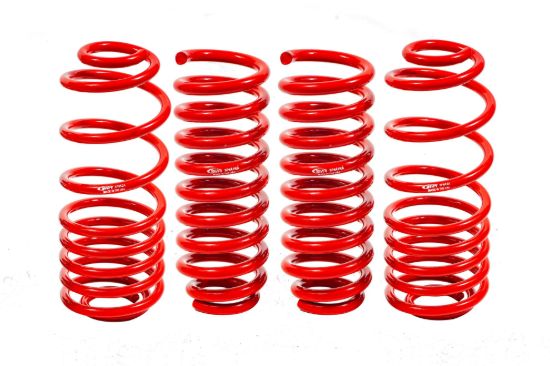 Picture of BMR Suspension Suspension Struts / Shock Absorbers / Coil Springs / Camber Plate Kit - SP640R