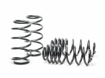 Picture of H&R Special Springs LP Coil Spring Lowering Kit - 54758