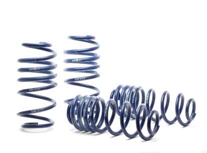 Picture of H&R Special Springs LP Coil Spring Lowering Kit - 54759