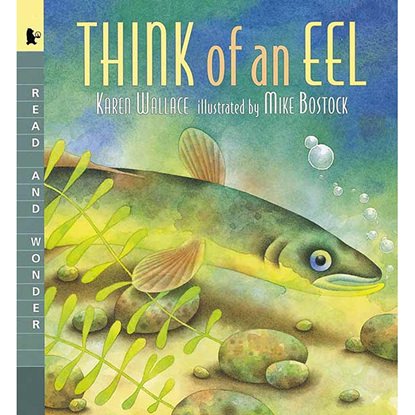 Picture of Candlewick Press 9780763615222  Think Of An Eel