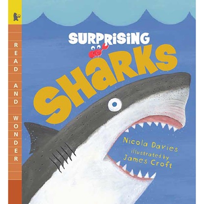Picture of Candlewick Press 9780763627423  Surprising Sharks