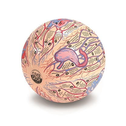 Picture of American Educational Prod 1433  Human Anatomy Clever Catch Ball