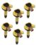 Coil - Ford 3.5L V6 EcoBoost 6pk - Yellow