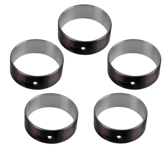 Cam Bearing Set