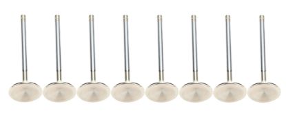 SBF 1.570 Inconel Exh. Valves 8mm x 5.030 OAL