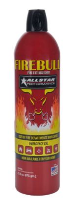 Fire Extinguisher 23.8oz Can