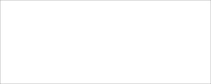 Aluminum White/White 4x10