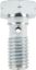 Banjo Bolts 10mm-1.50 2pk