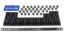 SBC Head Stud Kit 12pt.