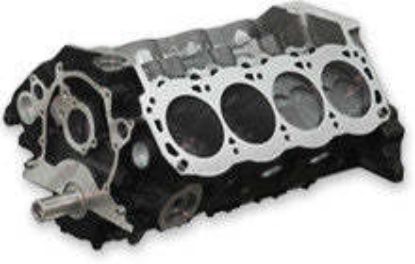 SBF 302ci Short Block