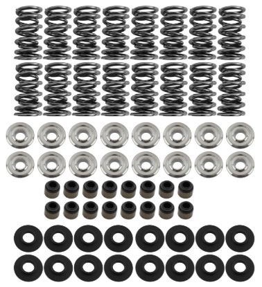 Platinum Dual Spring LS Kit Steel Retainer