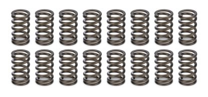 Valve Springs - 1.045