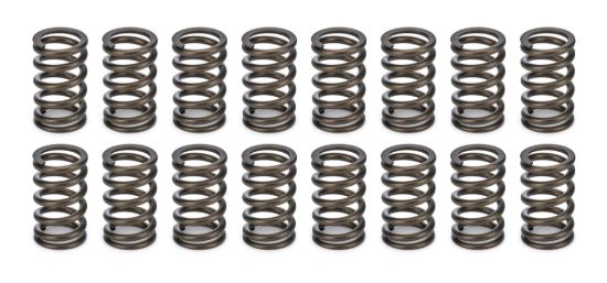 Valve Springs - 1.045