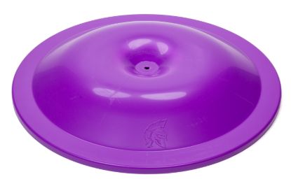 Air Cleaner Top 14in Purple