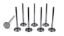 11/32 Exhaust Valves - 1.625