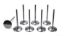 11/32 Intake Valves - 2.080