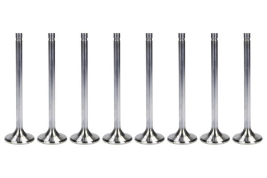 SBC C/P 1.625 Exhaust Valves