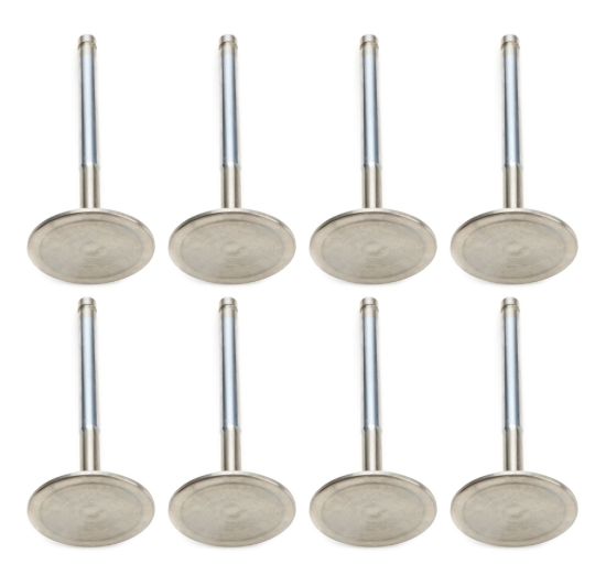 SBM C/6 2.020 Intake Valves 3/8 x 4.980