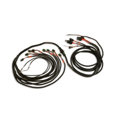 PRO550/600 Ford V8 Smart Coil Harness Complete
