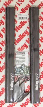 Fuel Rail Kit - For 300-137 GM LS Intake