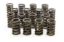 1.260in Valve Springs