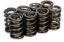 1.235 Dual Valve Springs (8pk)