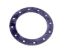 12-Hole Flange Gasket