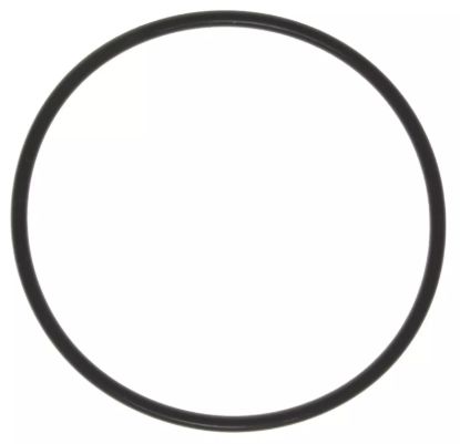 Thermostat Seal 97-03 GM 4.8 5.3 5.7 6.0