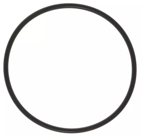 Thermostat Seal 97-03 GM 4.8 5.3 5.7 6.0