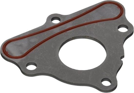 Seal GM LS Cam Plate Retainer 97-08