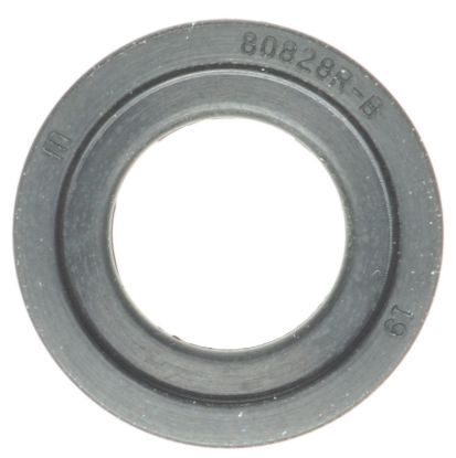 Oil Drain Plug Gasket 20+ Ford 7.3L