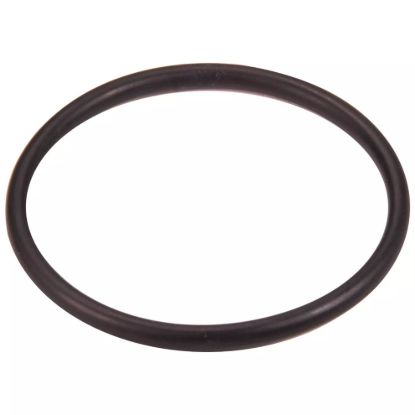 Thermostat Housing O-Ring Ford 4.6L