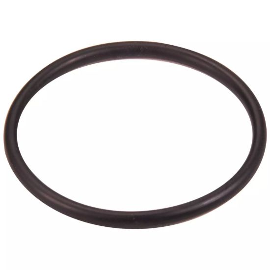 Thermostat Housing O-Ring Ford 4.6L