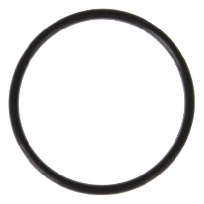 Thermostat Housing O-Ring 11-24 Ford 5.0L