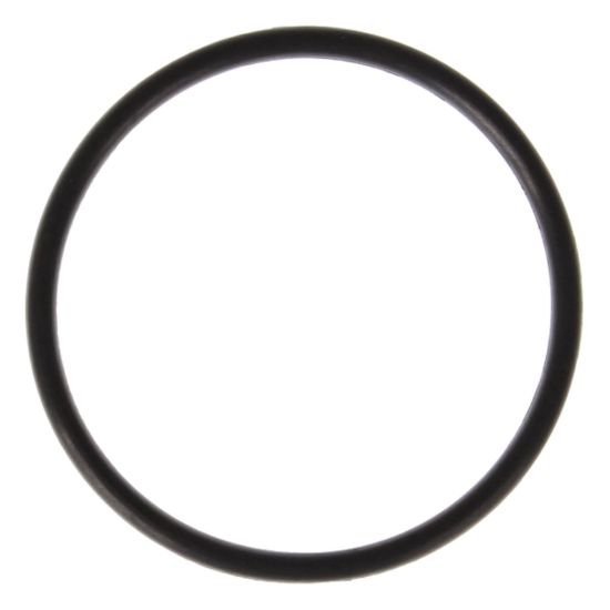 Thermostat Housing O-Ring 11-24 Ford 5.0L