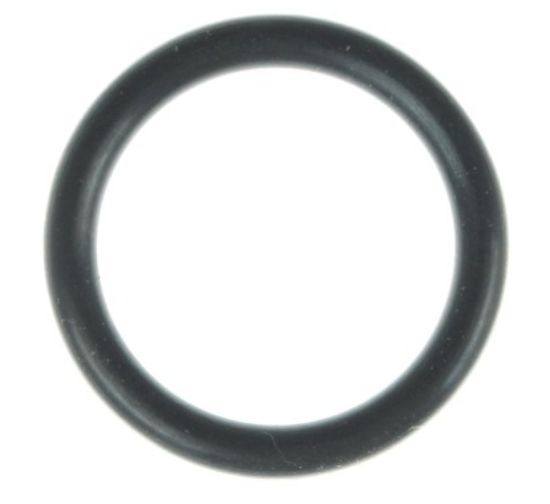 Coolant Pipe O-Ring 15-20 Ford 5.0L