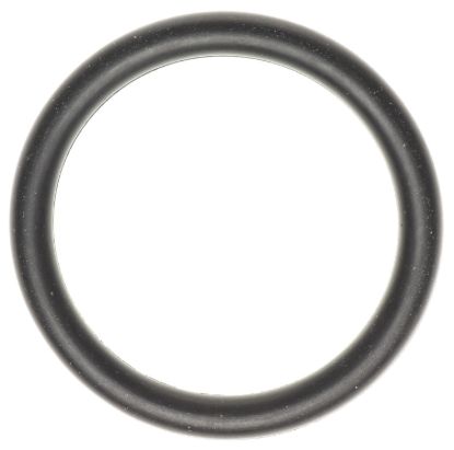 Coolant Pipe O-Ring 11-24 Ford 5.0L