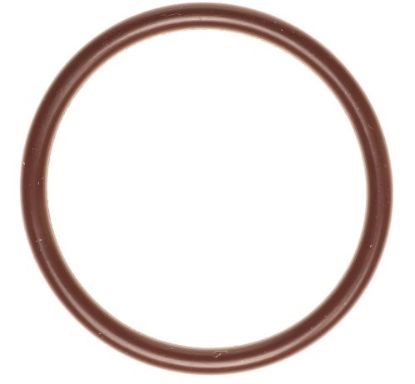 Fuel Pump O-Ring 18-24 Ford 5.0L