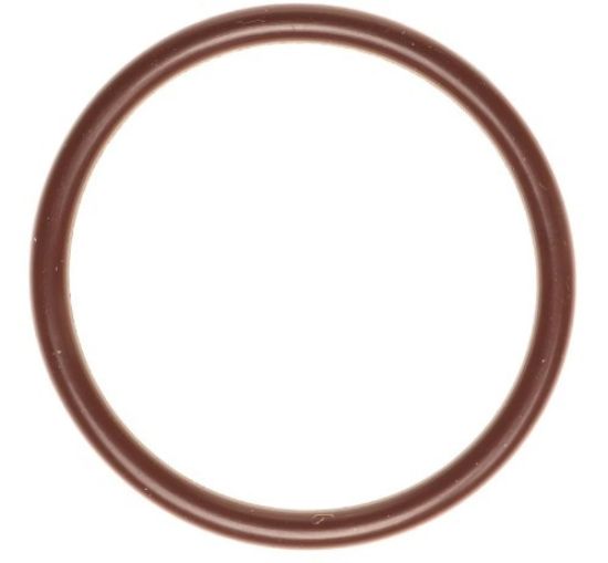 Fuel Pump O-Ring 18-24 Ford 5.0L
