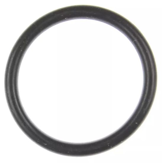 EFI Throttle Body O-Ring 05-10 Hemi 6.1L