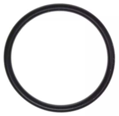 EFI Throttle Body O-Ring 05-10 Hemi 6.1L