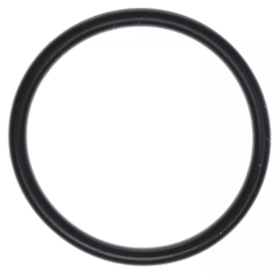 EFI Throttle Body O-Ring 05-10 Hemi 6.1L