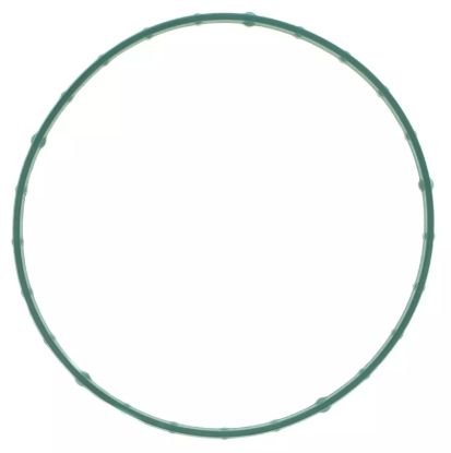 Throttle Body Gasket 11-17 Ford 5.0L