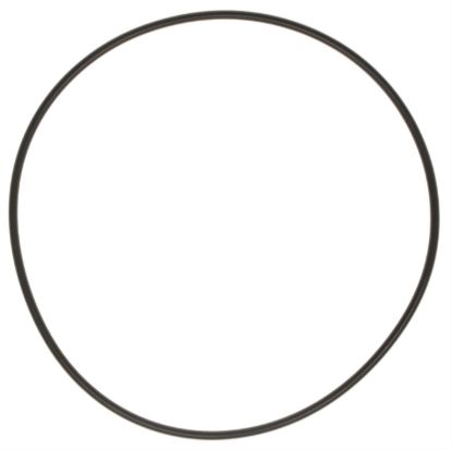 Water Pump Backing Plate 97-16 Chevy LS