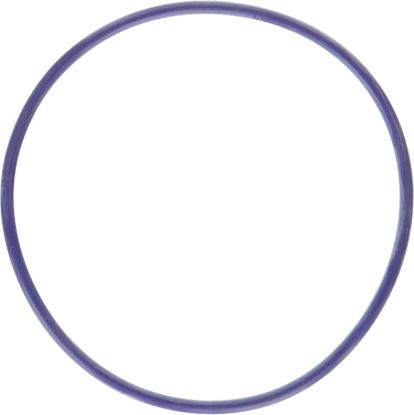 Water Pump Gasket 11-24 Ford 5.0L