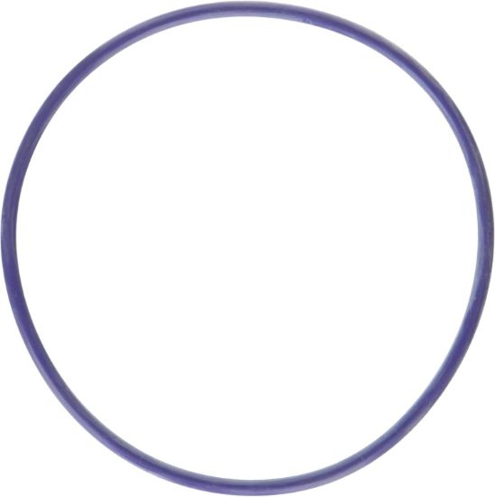 Water Pump Gasket 11-24 Ford 5.0L