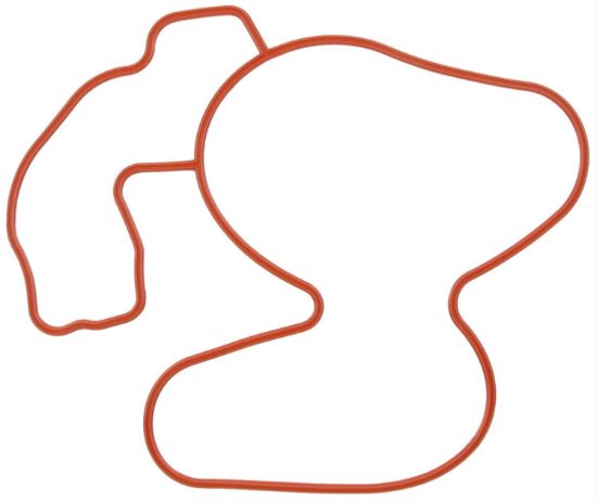Water Pump Gasket 05-21 Hemi 5.7L