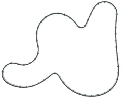 Water Pump Gasket 20-22 Ford 7.3L