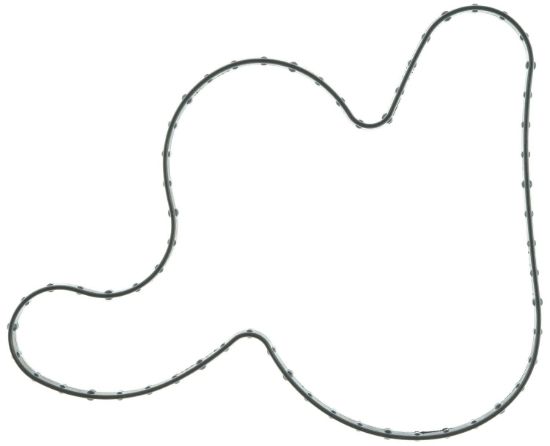 Water Pump Gasket 20-22 Ford 7.3L